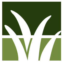 Tree Leaf Removal Pros