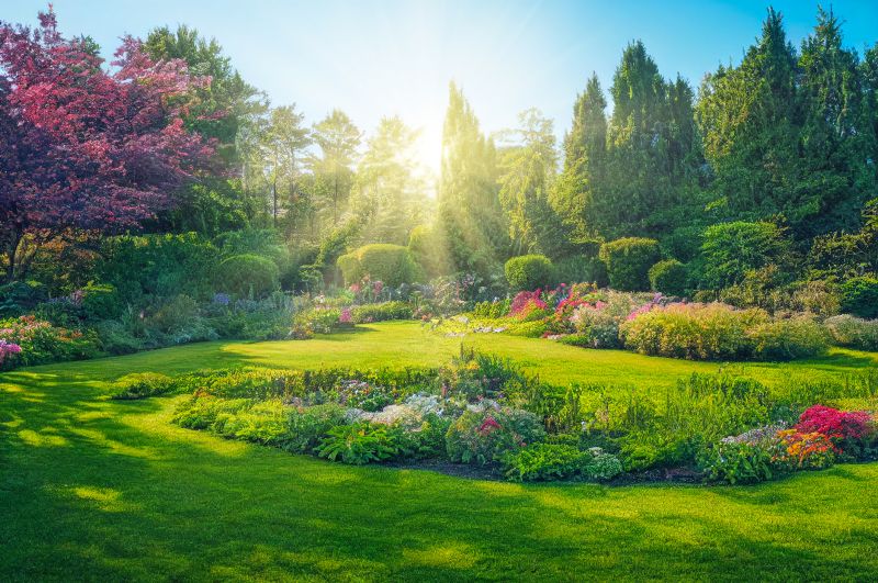 Garden Landscape Design in Honolulu, HI