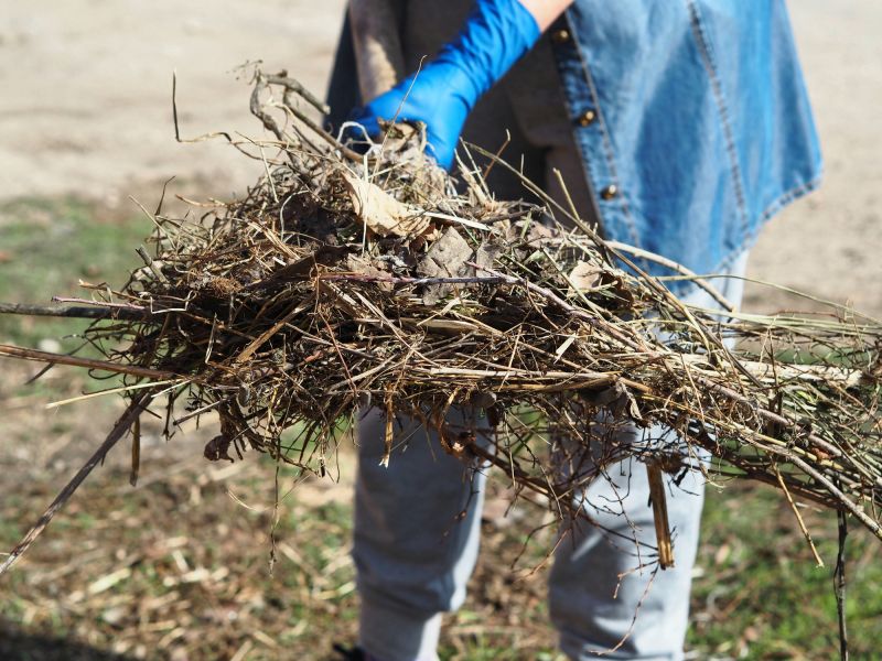 Lawn Debris Cleanup in Honolulu, HI