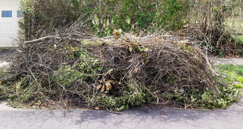 Lawn Debris Cleanup in Ventura County, CA