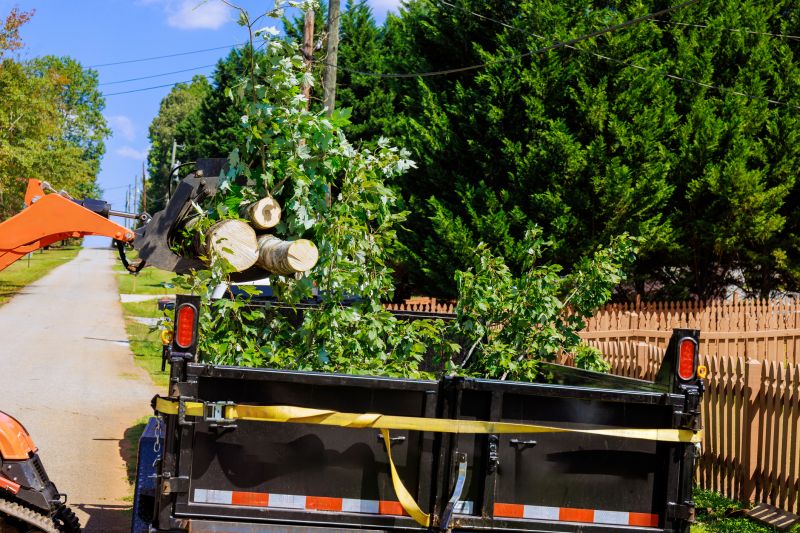 Products For Tree Leaf Removals in use