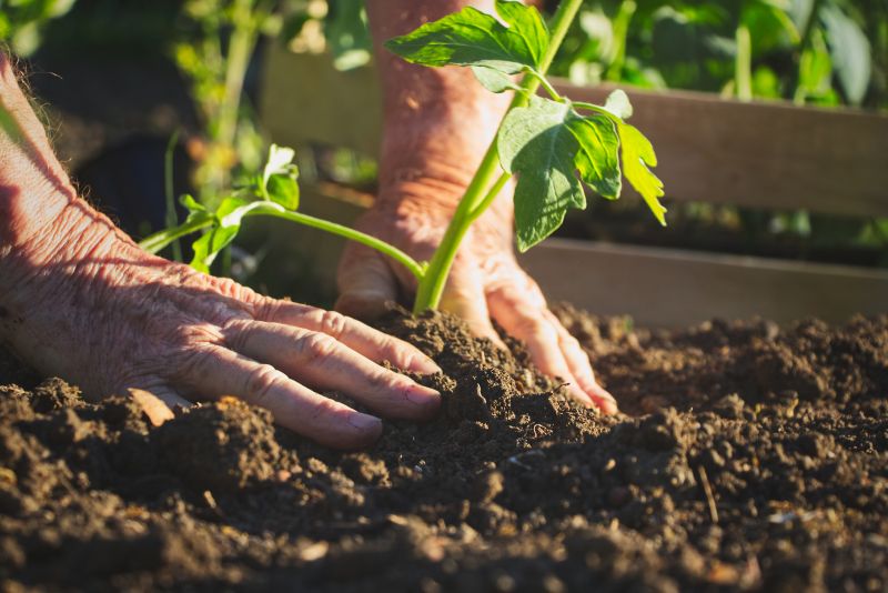 Spring Garden Maintenance in Ventura County, CA