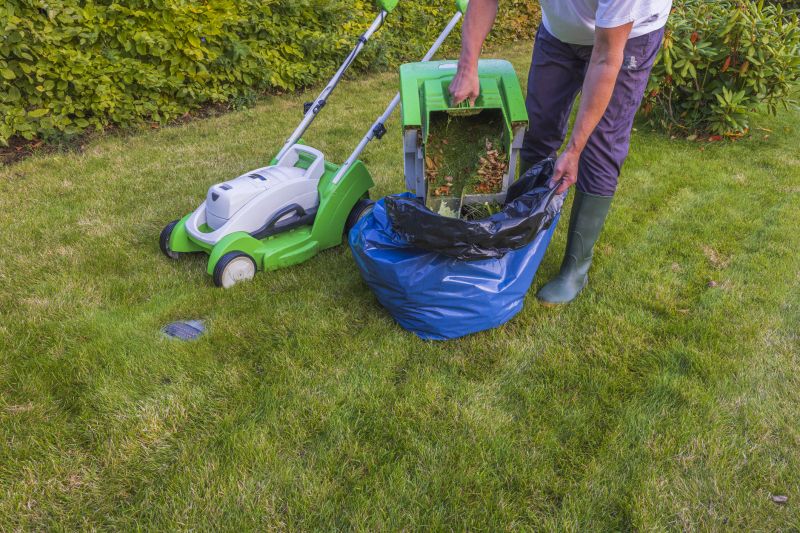 Spring Yard Cleanup in Ventura County, CA